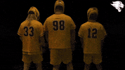d3lax GIF by CUCougars