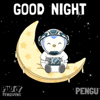 Good Night Space GIF by Pudgy Penguins