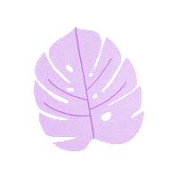 Baby Skincare Sticker by PIGEON Singapore