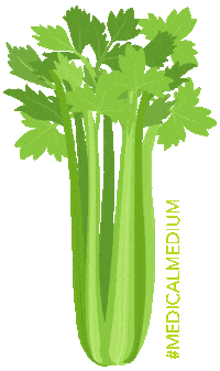 Juice Celery Sticker by Medical Medium
