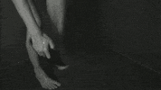 feet y GIF