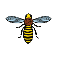 Bee Fruhling Sticker by SILBERWEISS