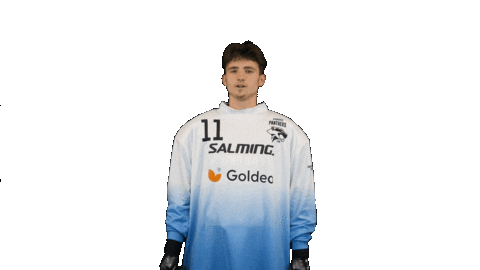 Florbal Sticker by Panthers Otrokovice