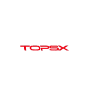 Choi Seunghyun Top Sticker
