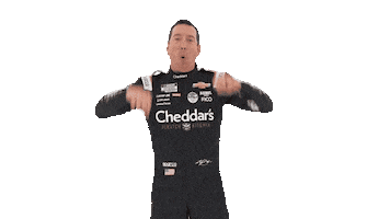 Kyle Busch Driver Sticker by Richard Childress Racing