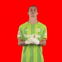 Sarcastic Sarcasm GIF by Bayer 04 Leverkusen