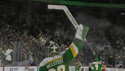 Happy Minnesota Wild GIF by NHL
