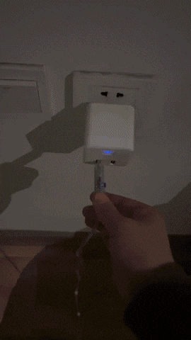 cuteanimalland giphyupload GIF