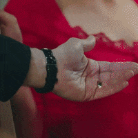Legacy Emanet GIF by Eccho Rights