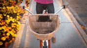 GIF by by The Barkers
