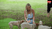 Puppy Reaction GIF by Married At First Sight