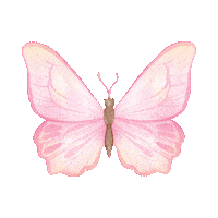 elistorycriativo butterfly elistorycriativo borboleta Sticker