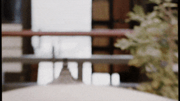 martial arts fire GIF by Parlophone Records