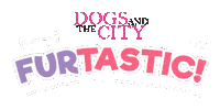 dogsandthecityph cat dog cats dogs Sticker