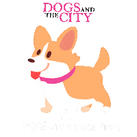 dogsandthecityph cat dog cats dogs Sticker