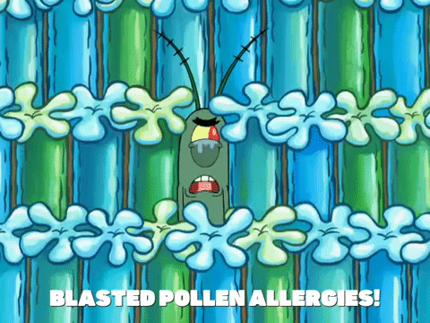 season 8 restraining spongebob GIF by SpongeBob SquarePants