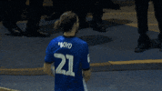 swfc celebration goal swfc boyd GIF