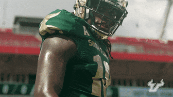 College Football GIF by USF Athletics