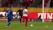 1 Fc Cologne Football GIF by 1. FC Köln
