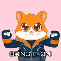 You Got This Lets Go GIF by Hamieverse