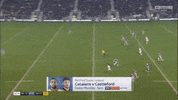 sthelensrfc saints rugby league super league st helens GIF