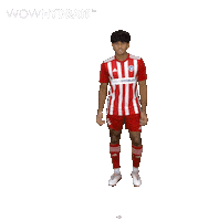 Football Soccer Sticker by Gulf United FC