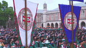 Graduation Commencement GIF by Washington University in St. Louis