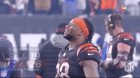 Nfl Playoffs Football GIF by NFL