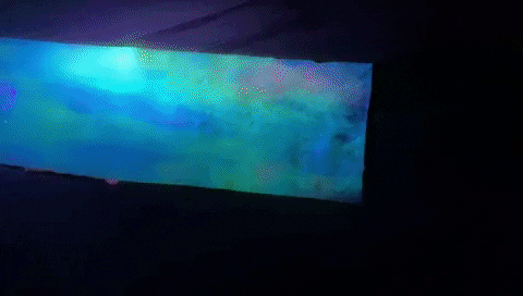 zaidmarji giphyupload GIF