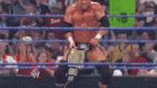 wwe sports wwe wrestling champion GIF