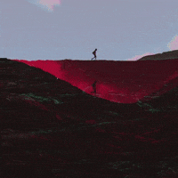 GIF by Showdown Management