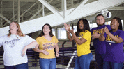 school soar GIF by Western Illinois University