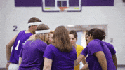 college soar GIF by Western Illinois University