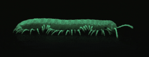 move glowing GIF