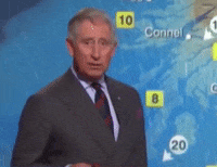 Prince Charles Politics GIF