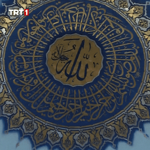 Night Drone GIF by TRT