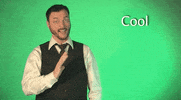 sign language GIF by Sign with Robert