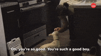 Goblin Voice With My Dog