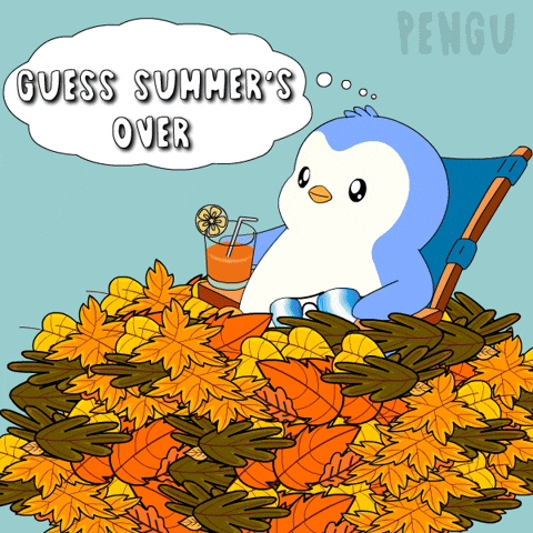 Fall Think GIF by Pudgy Penguins