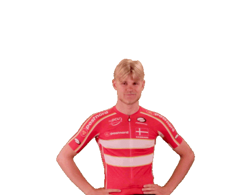 Happy Victory Sticker by Team Danmark