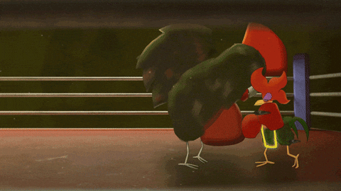 Fight Me Fight Night GIF