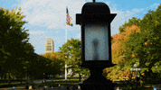 GIF by Michigan Athletics
