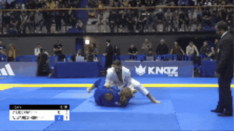 Corey929 giphygifmaker butterfly jiu jitsu john wayne GIF