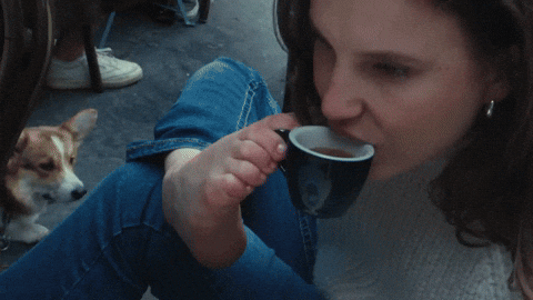 a2ac6fd52aa542f1a41837a71b288289 giphyupload GIF