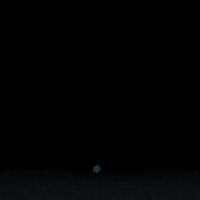 Crypto Bitcoin GIF by Dash Digital Cash