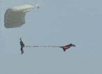 Victory Day Bangladesh GIF