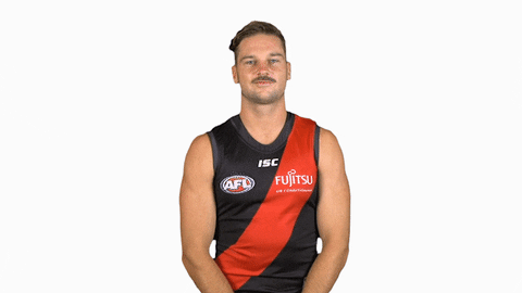 essendonfc giphyupload patrick dons bombers GIF