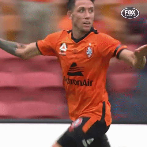 Celebrate Australian Football GIF by Hyundai A-League