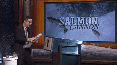 John Oliver Salmon Cannon GIF by Giffffr