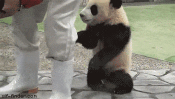 GifsWorldOfficial giphyupload GIF